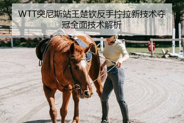 WTT突尼斯站王楚钦反手拧拉新技术夺冠全面技术解析